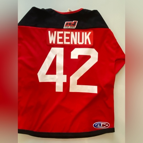 Custom “Weenuk #42” Devil Mascot Hockey Jersey – Adult Size L - Picture 8 of 9